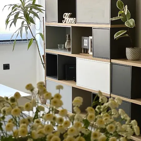 Vege App Apartment