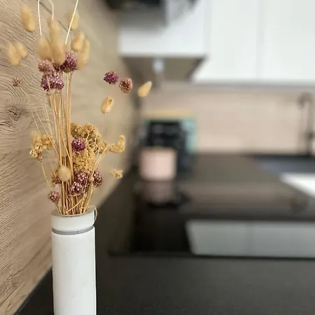 Vege App Apartment Pula